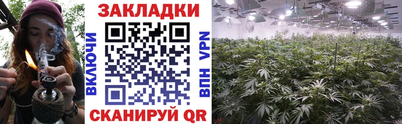 Где купить Киржач APVP  мега ССЫЛКА  Марихуана  КОКАИН  ГАШИШ  NBOMe 