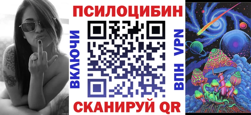 Псилоцибиновые грибы мицелий Киржач